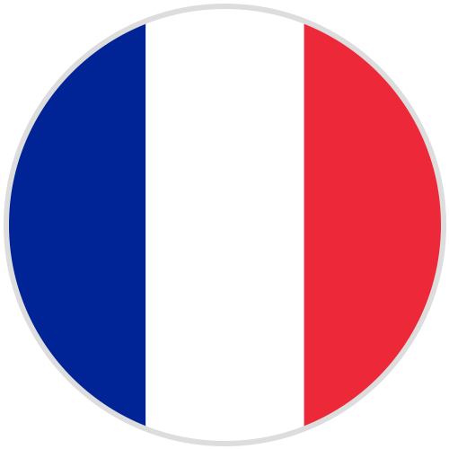 Origin and Introduction to French