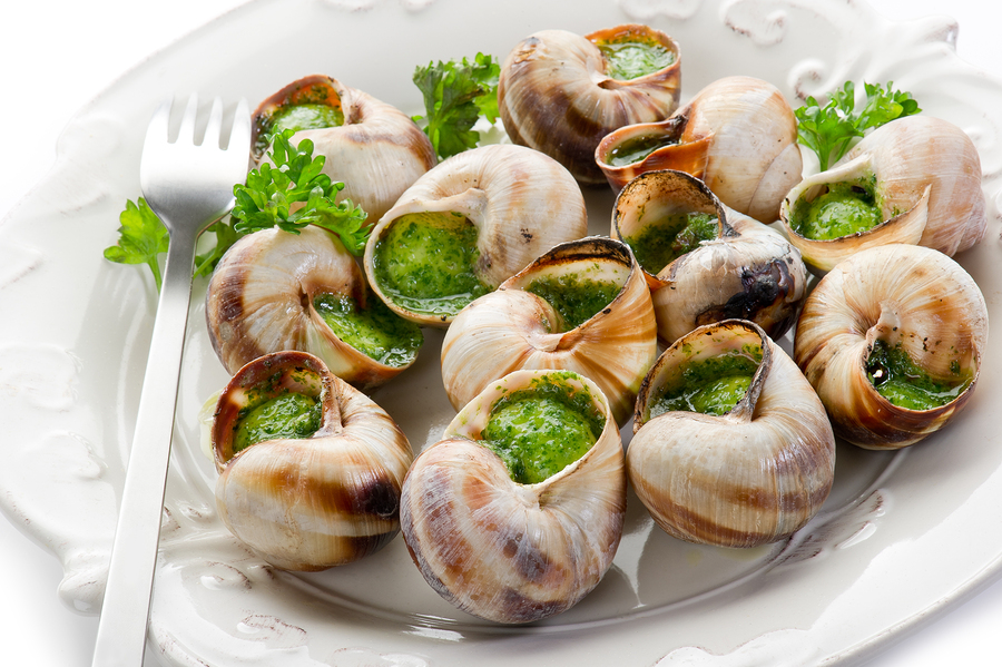 bigstock-bourguignonne-snail-au-gratin-27491750.jpg